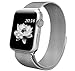 top4cus Double Electroplating Milanese Loop Stainless Steel Replacement iWatch Band with Magnetic Closure Clasp for Apple Watch - 38mm Regular Length - Silver