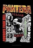 Pantera 3 Albums Fabric Poster