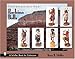 Contemporary Hopi Kachina Dolls (Schiffer Book for Collectors)