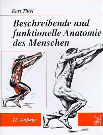 beschreibende und funktionelle anatomie des menschen beschreibende und funktionelle anatomie des menschen