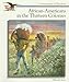 African-Americans in the Thirteen Colonies (Cornerstones of Freedom)