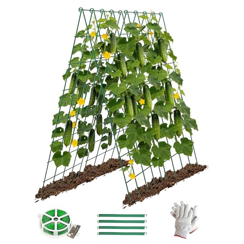 DOLEMODUO 2 Pack Cucumber Trellis, 60inch A-Frame Rustproof Steel Wire Garden Trellis for Raised Beds, Heavy Duty Climbing Plants Supports for Cucumber,Tomato, Climbing Plants and Flowers at Amazon