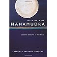 Essentials of Mahamudra: Looking Directly at the Mind