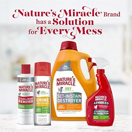 Miracle Oxy Nature's Miracle Cat Odor Remover Natures Miracle
