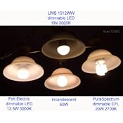 PureSpectrum 20W Dimmable CFL Bulbs (75W Replacement) – 30 Pack, Energy Efficient