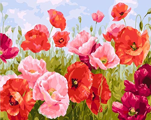 decalmile Malen Nach Zahlen Kits DIY Leinwand Gemälde für Erwachsene Anfänger Rote Mohnblume 16"X 20" (40 x 50cm, Holzrahmen) – Bild 3
