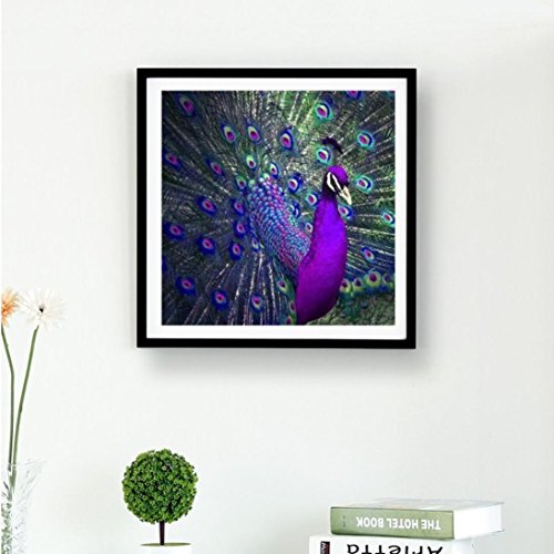 image for Pausseo Diamond Painting Peacock Diamond Painting,5D DIY Diamond Paint