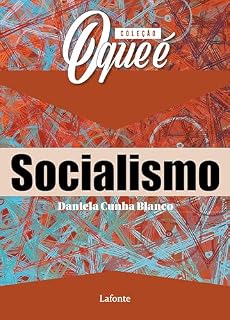 Livro Coleção: O Que É - Socialismo
