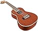 Lanikai LU22CGC Concert Ukulele Natural