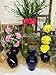 Floral Supply Online - 8
