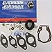 Johnson Evinrude New OEM Carburetor Repair Kit Assembly, 0439071