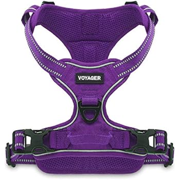 Voyager by Best Pet Supplies, Dual-Attachment No-Pull Adjustable Harness with 3M Reflective Technology, (Purple Lattice, Small)