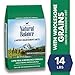 Natural Balance Limited Ingredient Diets Lamb Meal & Brown Rice Formula Dry Dog Food, 14 Pounds primary