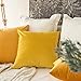 MIULEE Pack of 2 Velvet Soft Solid Decorative Square Throw Pillow Covers Set Cushion Case for Fall Sofa Bedroom 16x16 Inch 40x40 Cm Lemon Yellow