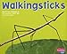 Walkingsticks (Pebble Plus, Bugs, Bugs, Bugs)