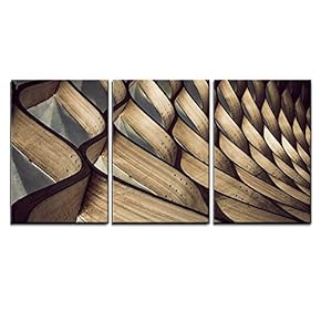 3 Piece Canvas Wall Art - Abstract Bent Wood Patterns - Modern Home Art Stretched and Framed Ready to Hang - 16"x24"x3 Panels