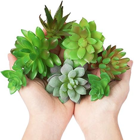 CayTre Fake Artificial Succulents Plant 7-Pc Bulk Faux Succulent Unpotted Picks Plants for Home Decor- Realistic Decorations for Office Table, Party, Terrarium, or as Gifts