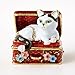 Apropos Vintage Style Hand-Painted Cat in Treasure Chest Trinket Box