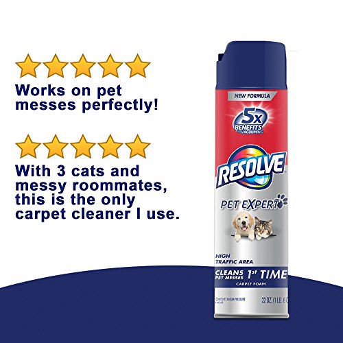 Resolve Pet Expert High Traffic, Carpet Foam, 22 oz (Pack of 4