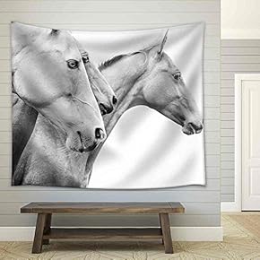 Purebred Horses - Fabric Wall Tapestry Home Decor - 51x60 inches