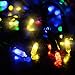 Twowings aws awedw M5 Battery Operated String Lights 100 LED Clear Mini Fairy Christmas L, Multi Color