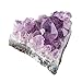 Discover with Dr. Cool Crystal Growing Kit – Grow Stunning Purple Crystals (Includes Real Amethyst)!