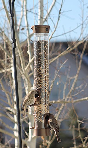 image for More Birds Bird Feeder with 1.5 lb Bird Seed Capacity, Mixed Seed Bird