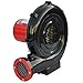 XPOWER BR-201A 1/4-HP 250-CFM Indoor/Outdoor Inflatable Blower, 2.2-Amp