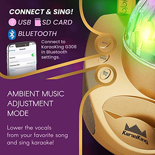 KaraoKing New 2020 Karaoke Machine for Adults and Kids 2 Wireless