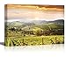 wall26 Canvas Print Wall Art Vineyard Landscape in Tuscany, Italy Nature Wilderness Photography Modern Art Rustic Scenic Colorful Multicolor for Living Room, Bedroom, Office - 32