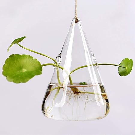 Bottiglie Di Vetro Irregolari Che Pendono Dalla Corda Di Canapa Sono Piante Ad Aria Piante Idroponiche Piante Grasse Contenitori Per Colture Ittiche Case Decorative Uffici K Amazon It Casa E Cucina