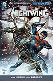 Nightwing Vol. 2: Night of the Owls (The New 52)