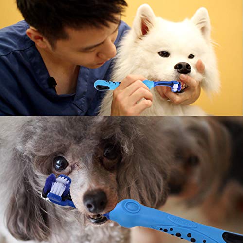 OUTFANDIA Triple Dog Toothbrush, Pet Tooth Brush with Soft Bristle, Dog Dental Care, Cleaning Tartar, Reducing Accumulation of Plaque, Easy to Grasp, 5 pcs