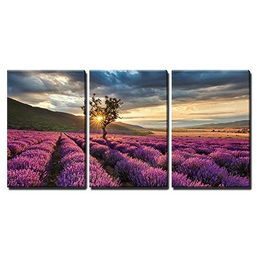Stunning Landscape with Lavender Field at Sunrise Home Art x3 Panels