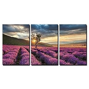 3 Piece Canvas Wall Art - Stunning Landscape with Lavender Field at Sunrise - Modern Home Art Stretched and Framed Ready to Hang - 16"x24"x3 Panels