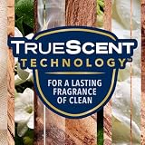 Glade Automatic Air Freshener Refills Sandalwood Jasmine 4 x 269 ml view 11