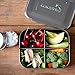 LunchBots Medium Quad Snack Container - Divided Stainless Steel Food Container - Four Sections for Finger Foods On the Go - Eco-Friendly, Dishwasher Safe - Stainless Lid - Stainless Steel