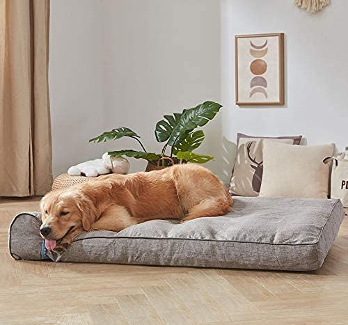 extra large dog bed clearance