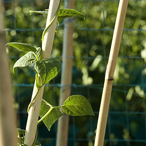 Bond Manufacturing N408 500-Pack Natural Bamboo, 4-feet by 3/8-inch, 4 ft