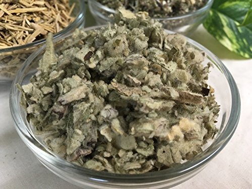 Organic Mullein Leaf Dried ~ 1 Ounce ~ Verbascum spp. - Thumbnail 2