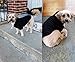 BINGPET Dog Hoodies - Fleece Lined Fall Dog Puppy Sweatshirt Soft Warm Sweater Winter Hooded Clothes for Small Medium Large Dogs & Cats
