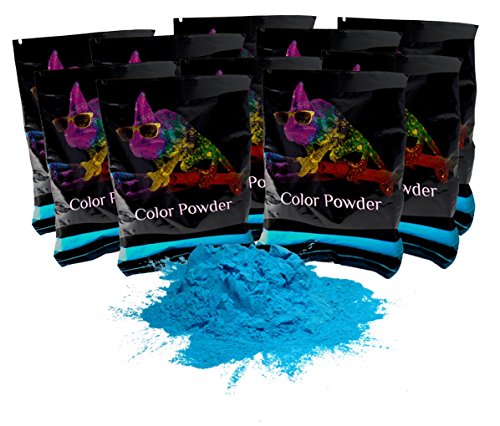 Holi Color Powder True Blue 10 Pack of 70 Grams Each