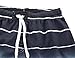 Nonwe Men's Beachwear Quick Dry Holiday Drawstring Striped Swim Trunks Blue 36