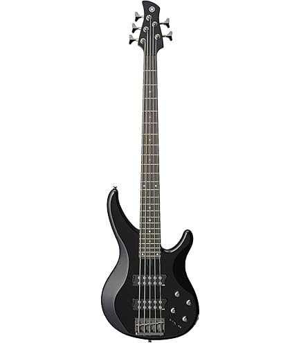 Amazon.com: Ibanez Gio SR 5 String Electric Bass - Black : Musical