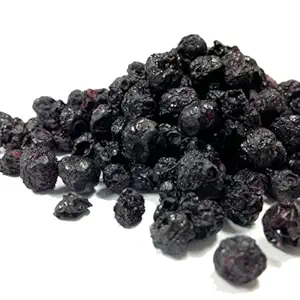 Grain Place Foods Non-GMO Organic Freeze-Dried Blueberries 1/2 lb Bag