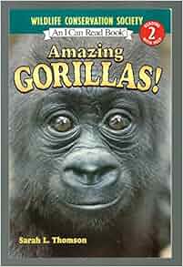 Amazing Gorillas Sarah L Thomson 9780439873048 Amazon