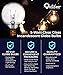 30 Pack of G40 Replacement Bulbs, 5 Watt G40 Globe Bulbs for String Lights, Candelabra Screw Base, Fits E12 and C7 Sockets, Indoor-Outdoor Use, Clear Glass G40 Bulbs, Secure and Convenient Packaging