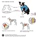 PUPPIA International Puppia Harness Soft B Vest Sky Blue Medium