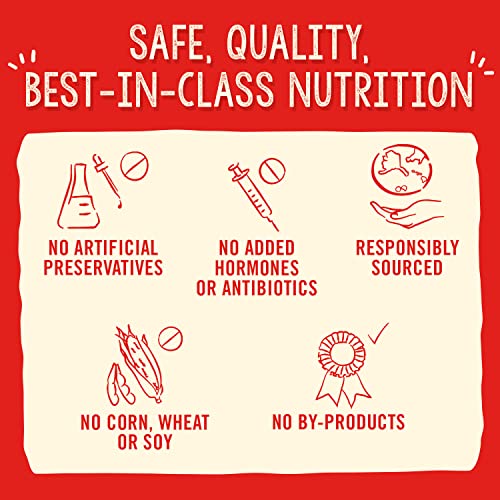 STELLA & CHEWY’S FREEZE-DRIED RAW CAGE-FREE DUCK MEAL MIXER SUPERBLENDS GRAIN-FREE DOG FOOD TOPPER, 16 OZ. BAG, FREEZE-DRIED RAW MEAL MIXER SUPERBLENDS