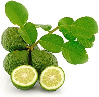 Kaffir Lime Seeds Gourmet Thai Cooking Leaves